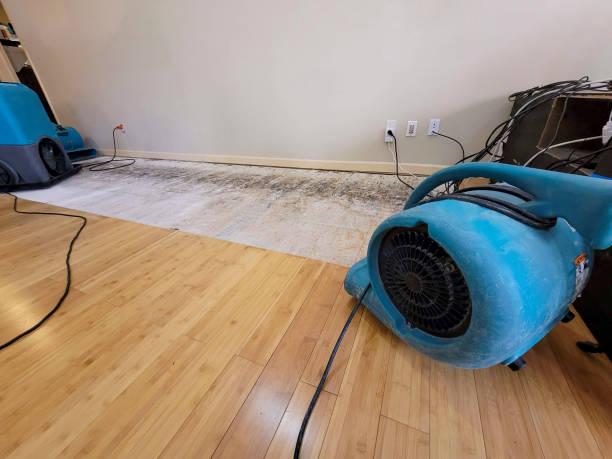 Professional Basement Flood Cleanup technician working in Venango, PA